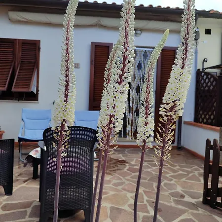 Panorama 펜션 La Guardia